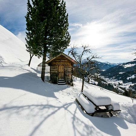 Apartmán Siedlerhof Hopfgarten im Brixental Exteriér fotografie