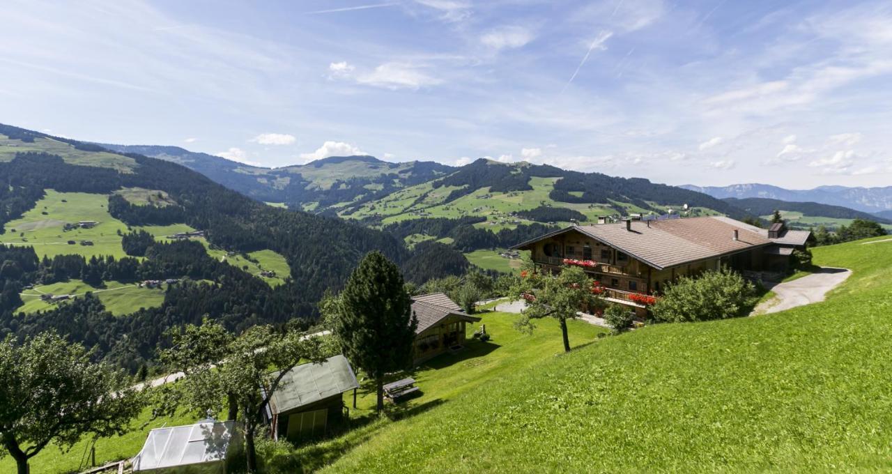 Apartmán Siedlerhof Hopfgarten im Brixental Exteriér fotografie