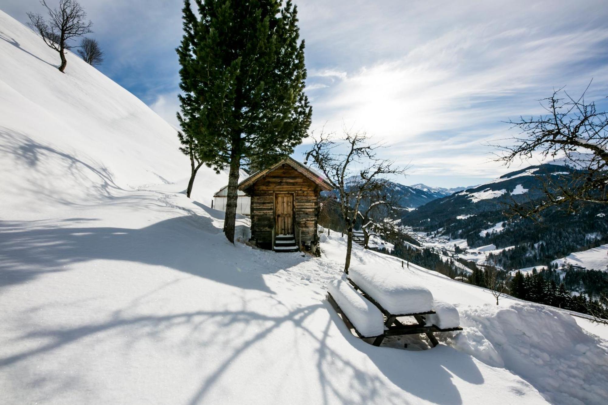 Apartmán Siedlerhof Hopfgarten im Brixental Exteriér fotografie