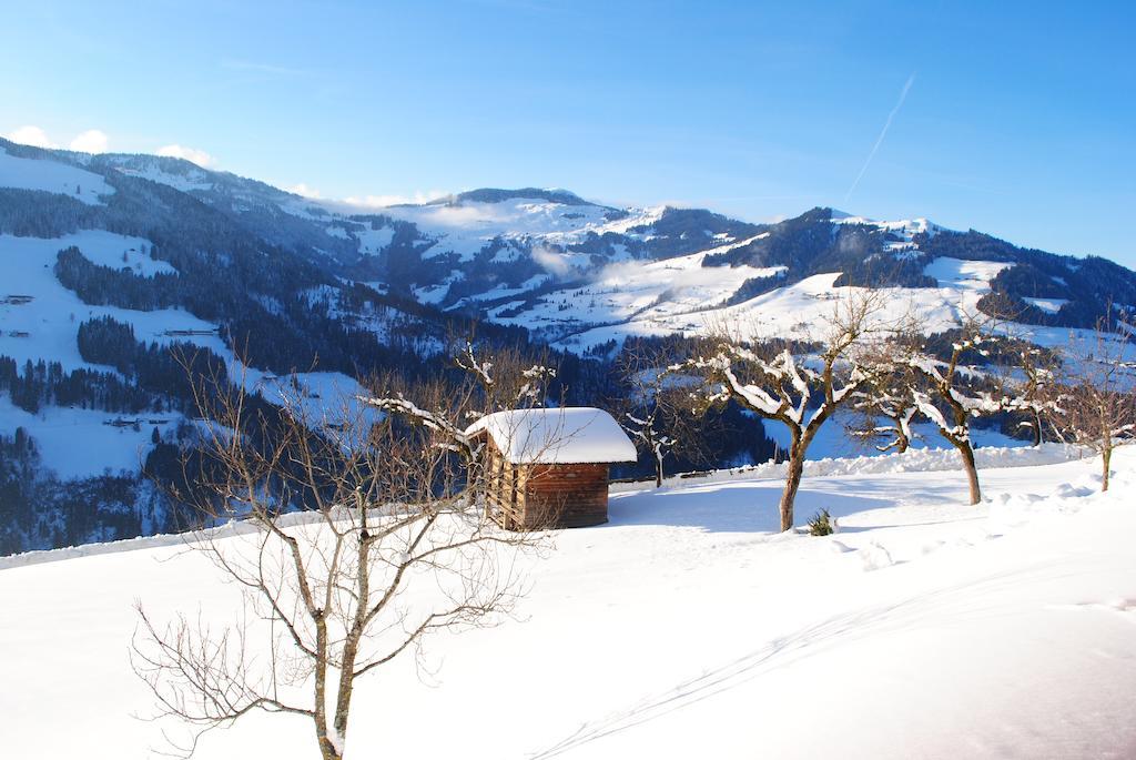 Apartmán Siedlerhof Hopfgarten im Brixental Exteriér fotografie