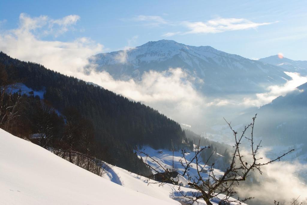 Apartmán Siedlerhof Hopfgarten im Brixental Exteriér fotografie