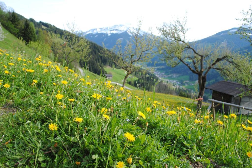 Apartmán Siedlerhof Hopfgarten im Brixental Exteriér fotografie